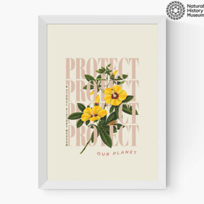 Protect Yellow Flower A3 (29.7 x 42cm) Frame Natural Oak Medium (22mm) 