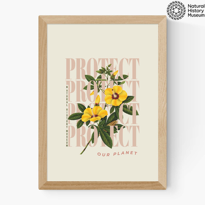 Protect Yellow Flower A3 (29.7 x 42cm) Frame Natural Oak Medium (22mm) 