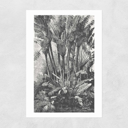 Palms in Water A3 (29.7 x 42cm) Unframed 