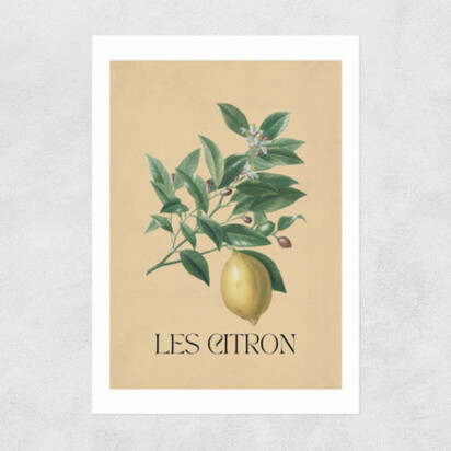 Les Citron A1 (59.4 x 84.1cm) Frame Black Medium (22mm) 