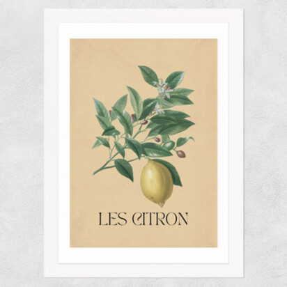 Les Citron A1 (59.4 x 84.1cm) Frame Black Medium (22mm) 