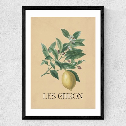 Les Citron A1 (59.4 x 84.1cm) Frame Black Medium (22mm) 