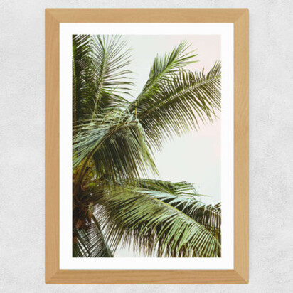 Palm Trees Above Me A2 (42 x 59.4cm) Frame Black Narrow (15mm) 