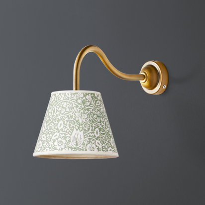 IP44 Swan neck wall fitting in antique brass