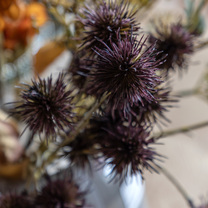 Open uri20251104 8199 943d36?1762268324