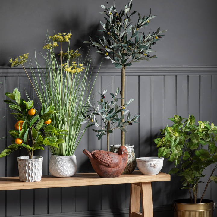 Open uri20251104 8199 papfsp?1762268508