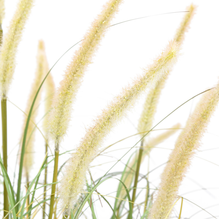 Open uri20251104 8199 9aw5n6?1762268572