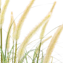 Open uri20251104 8199 9aw5n6?1762268572