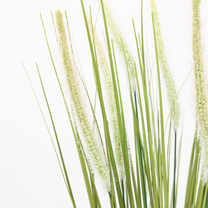 Open uri20251104 8199 1qtwb1a?1762268604