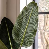 Open uri20251104 8199 d8wkhj?1762268736