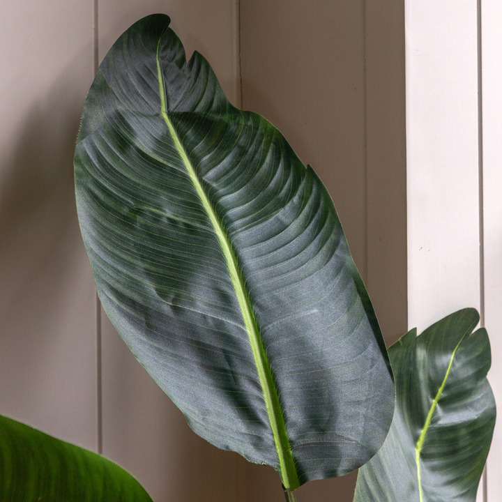 Open uri20251104 8199 zenfpy?1762268741