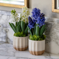 Open uri20251104 8199 opw6py?1762268813