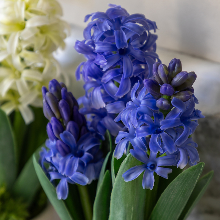 Open uri20251104 8199 1ohzrnf?1762268818