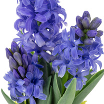 Open uri20251104 8199 65289u?1762268829