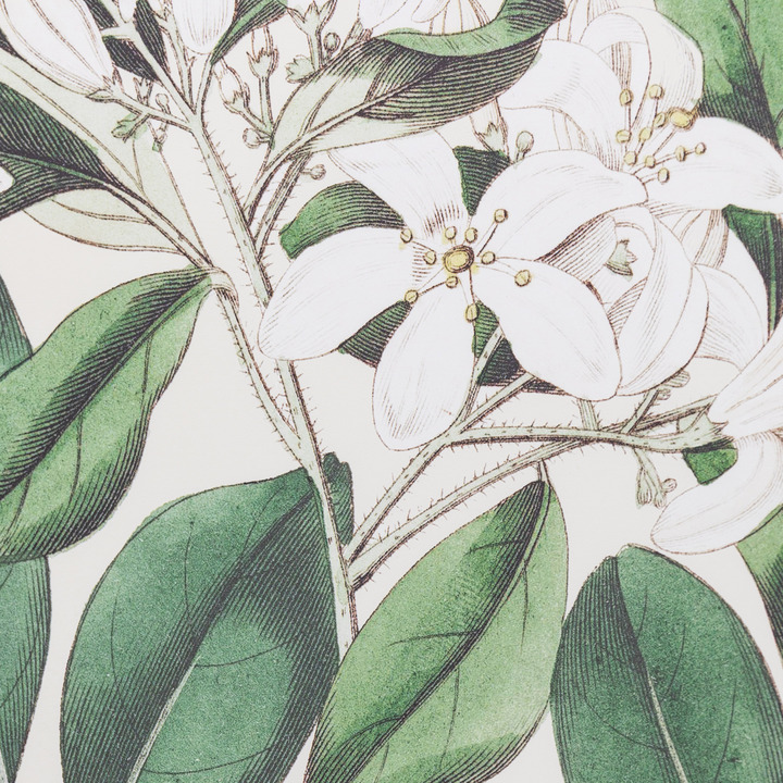 Open uri20251104 8199 be584v?1762276197