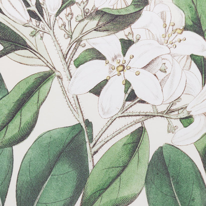 Open uri20251104 8199 be584v?1762276197