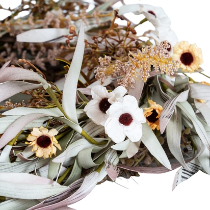 Open uri20251113 19983 3knjbf?1763007807