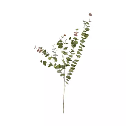 Neptune Artificial Eucalyptus Red Box Spray, H119cm, Green/Russet Russet | H119 x W38 x D38cm