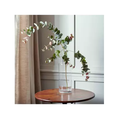 Neptune Artificial Eucalyptus Red Box Spray, H119cm, Green/Russet Russet | H119 x W38 x D38cm