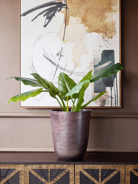 Open uri20251125 1296 7u2ycj?1764065086