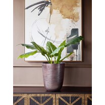 Open uri20251125 1296 7u2ycj?1764065086