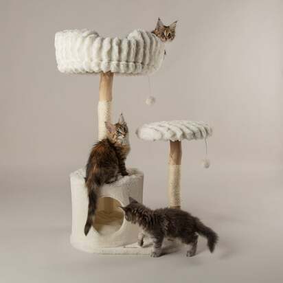Scruffs Colorado Cat Scratching Tree