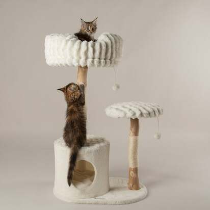 Scruffs Colorado Cat Scratching Tree