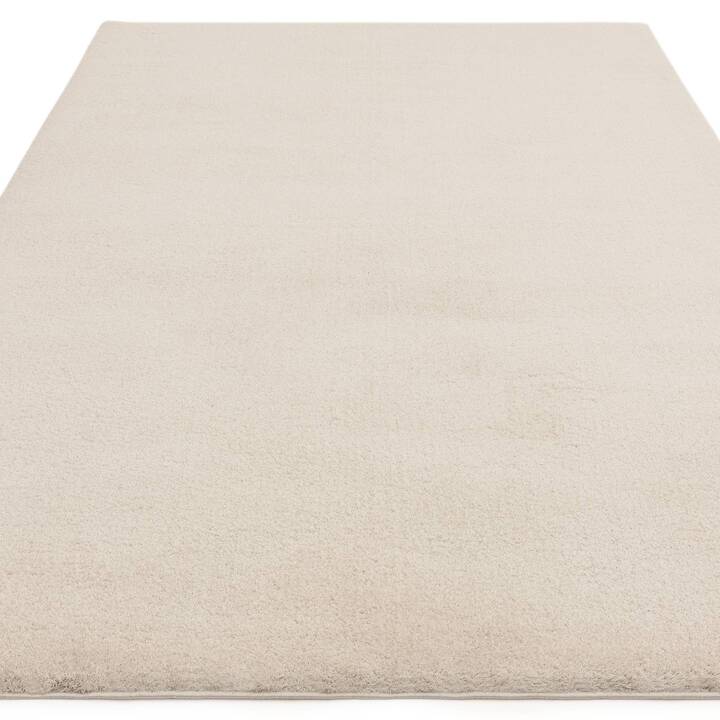 Open uri20251128 22435 yfa8dx?1764369212