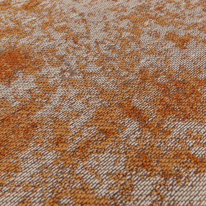 Open uri20251128 22435 1x5ttr8?1764370208