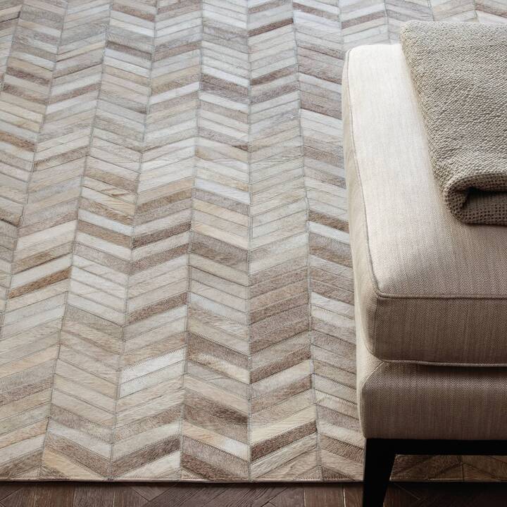 Open uri20251128 22435 p01s6s?1764371775