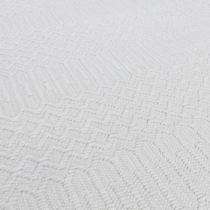 Open uri20251128 22435 5lgygi?1764372586