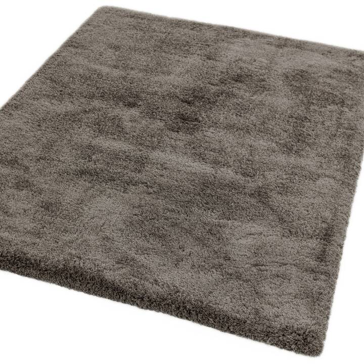 Open uri20251129 22435 1veukbl?1764377216