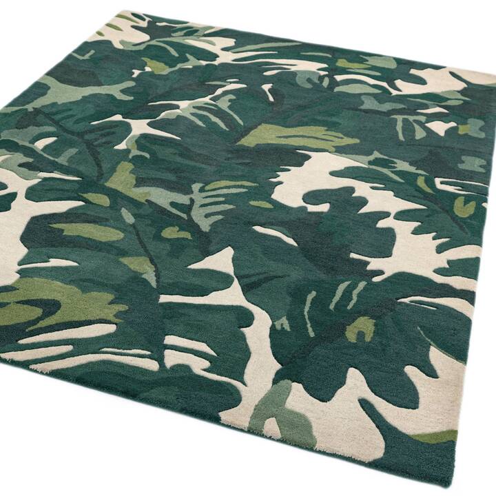 Open uri20251129 22435 gv499y?1764377865