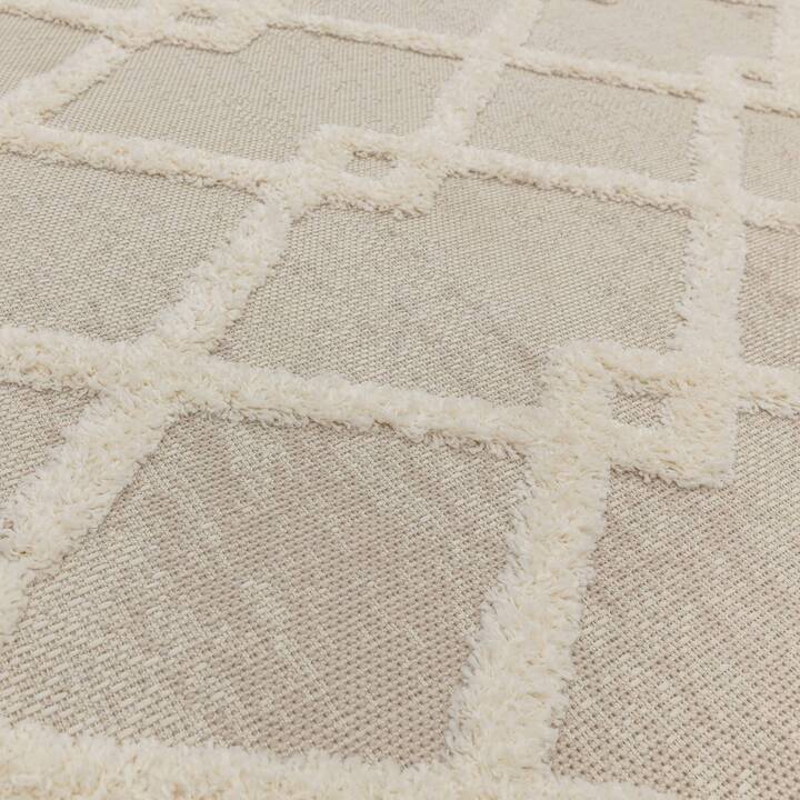 Open uri20251129 22435 1l6elly?1764379864