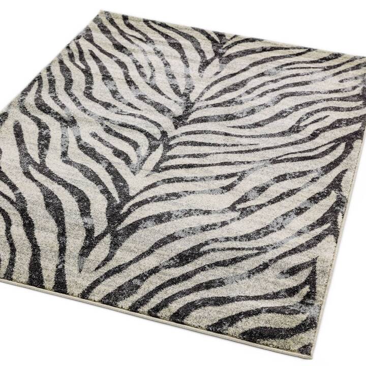 Open uri20251129 22435 b7w12d?1764383192