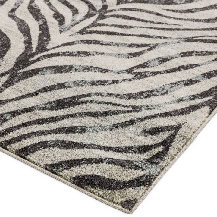 Open uri20251129 22435 1in8r3v?1764383194