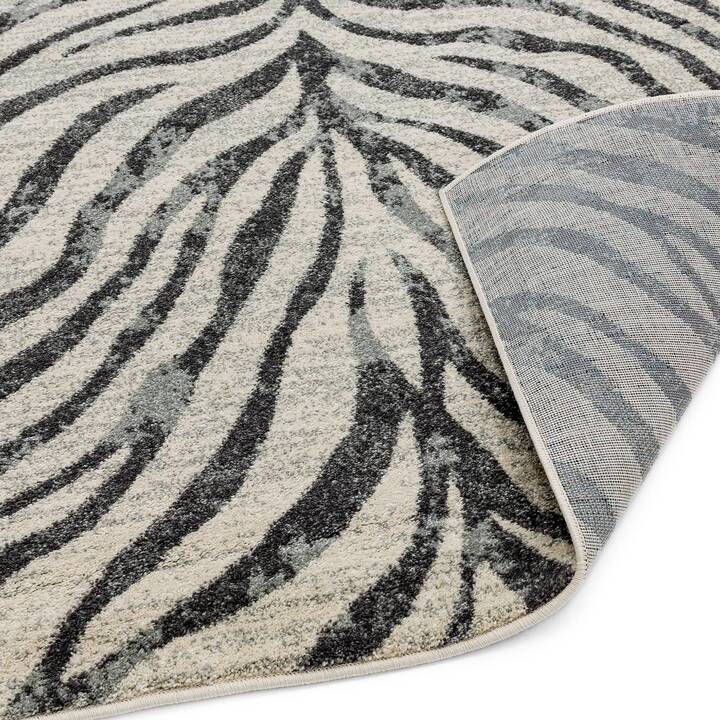 Open uri20251129 22435 1bzcm6?1764383197