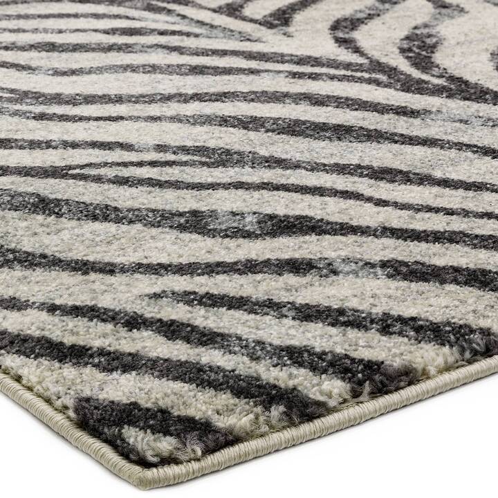 Open uri20251129 22435 n1c9o7?1764383199