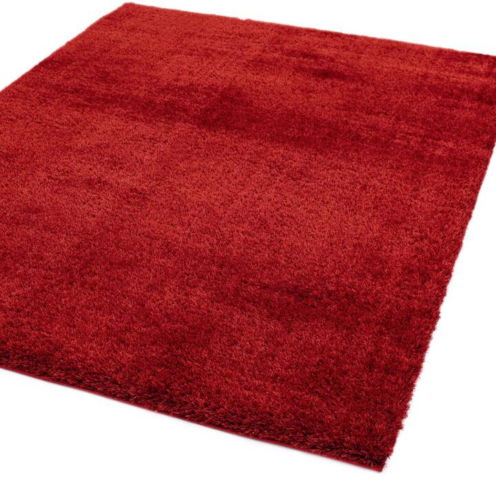 Open uri20251129 22435 ka6gka?1764385259