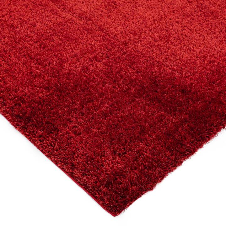 Open uri20251129 22435 1skq6pi?1764385263