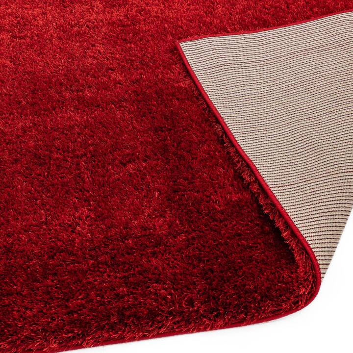 Open uri20251129 22435 uewirp?1764385266