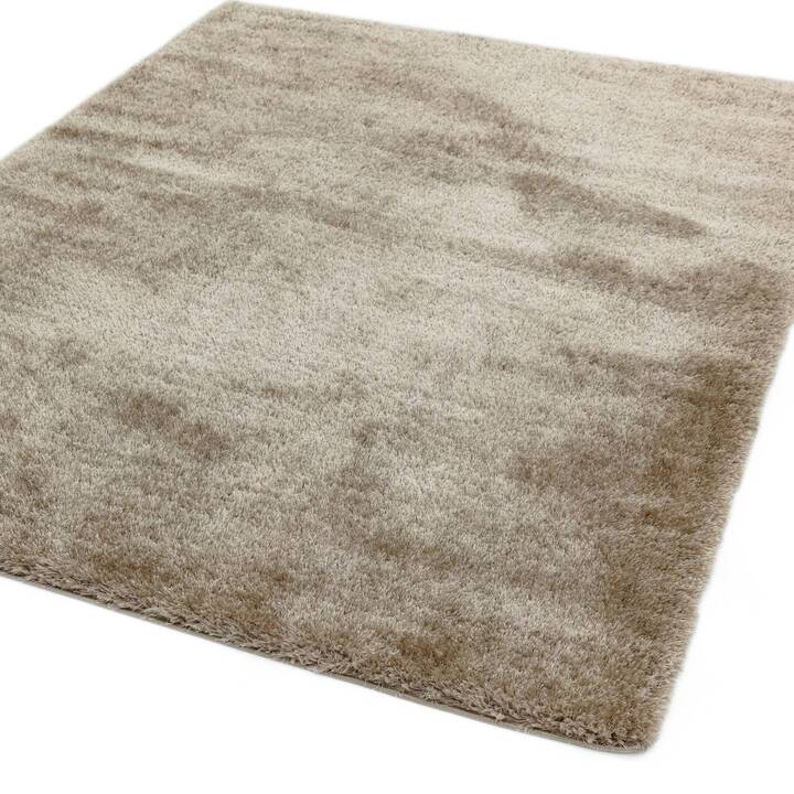 Open uri20251129 22435 zj1sie?1764385487