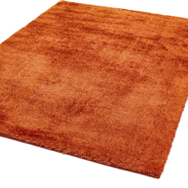 Open uri20251129 22435 zi0bqh?1764385516