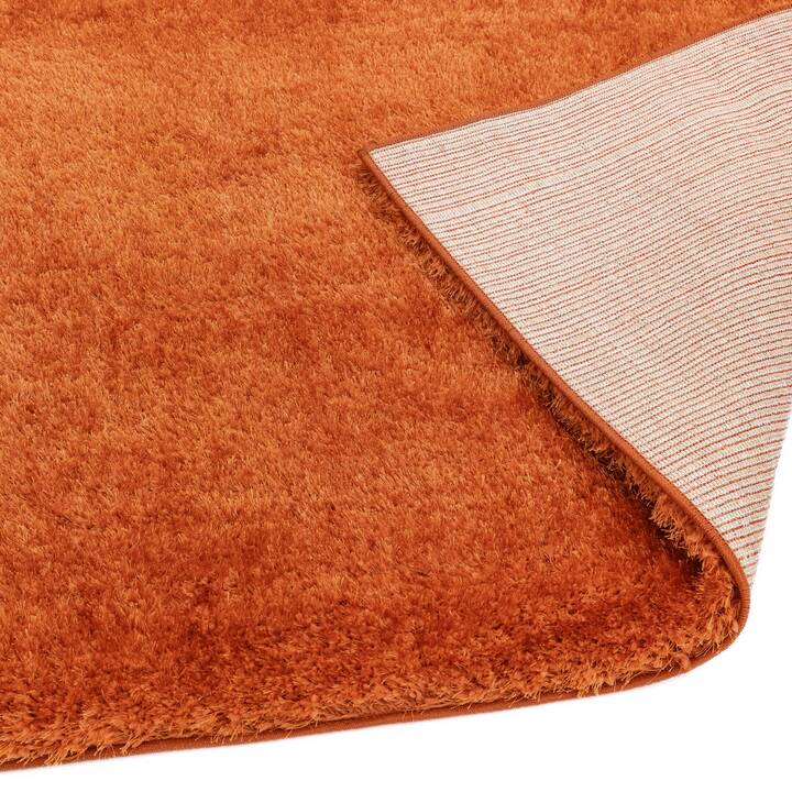 Open uri20251129 22435 9e8ldw?1764385520