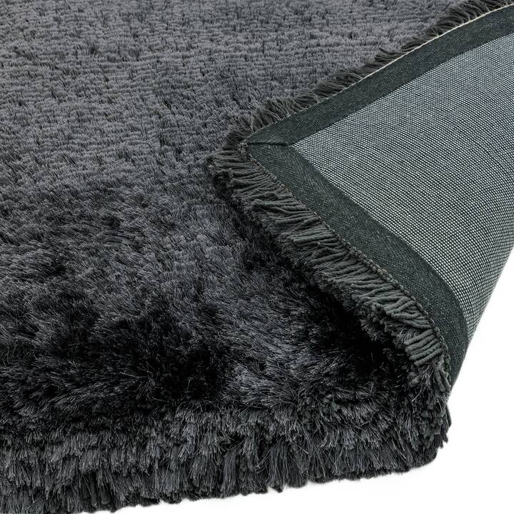 Open uri20251129 22435 v8wucg?1764385965