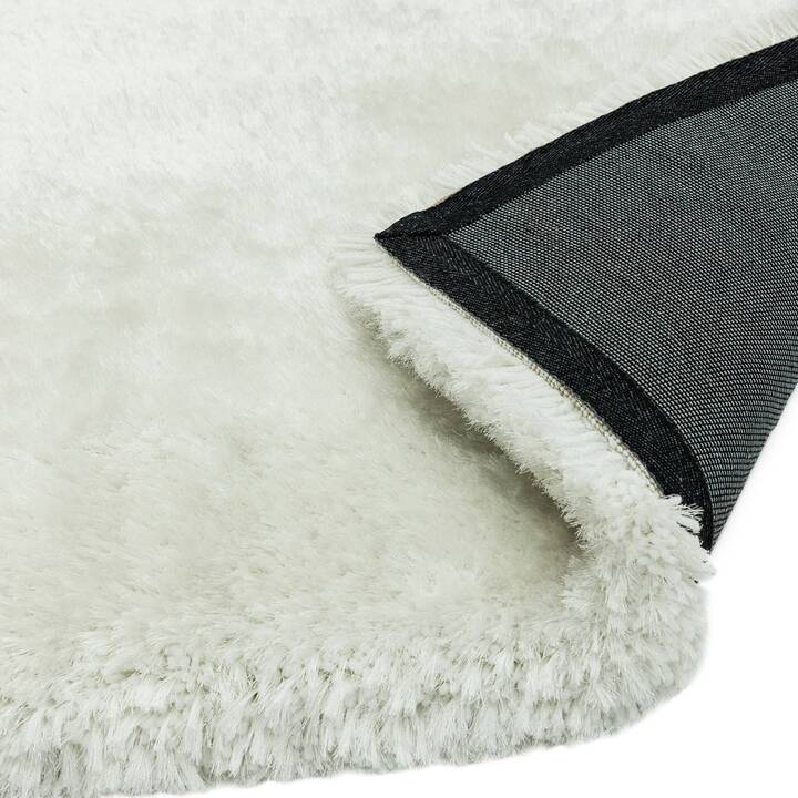 Open uri20251129 22435 pbqwha?1764386258