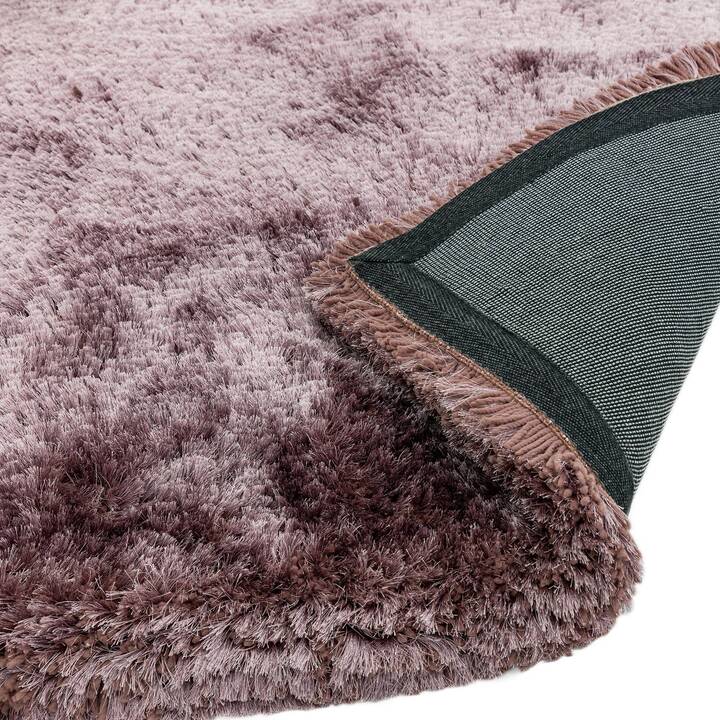 Open uri20251129 22435 p6bf0j?1764386657