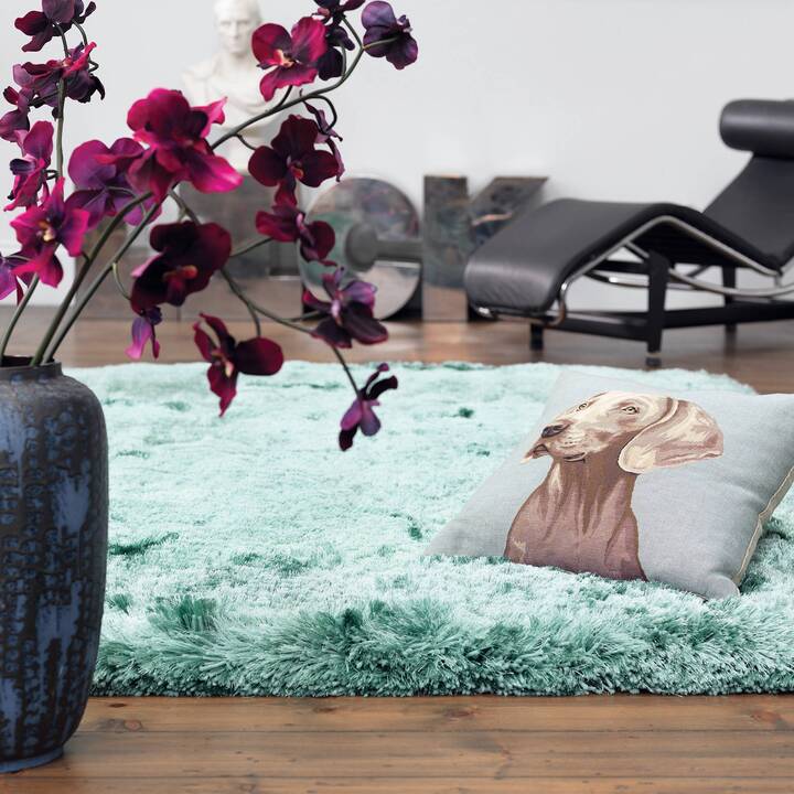 Open uri20251129 22435 1bfd5ml?1764386701