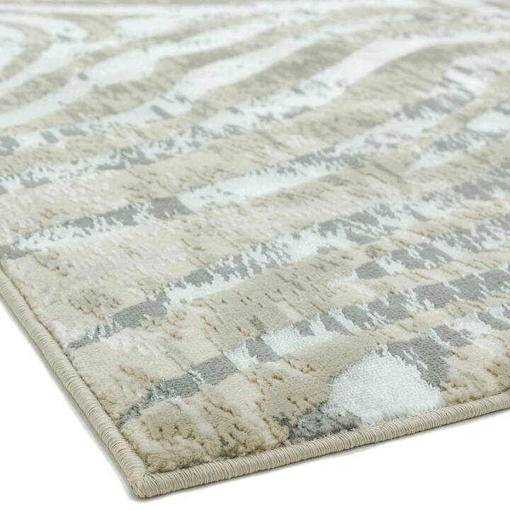 Open uri20251129 22435 1fok5tw?1764387222