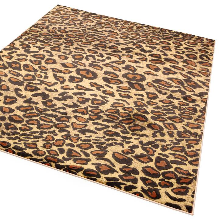 Open uri20251129 22435 hgycak?1764387282